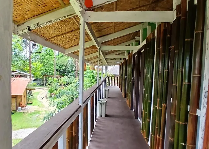 Bohol Hammock Hostel