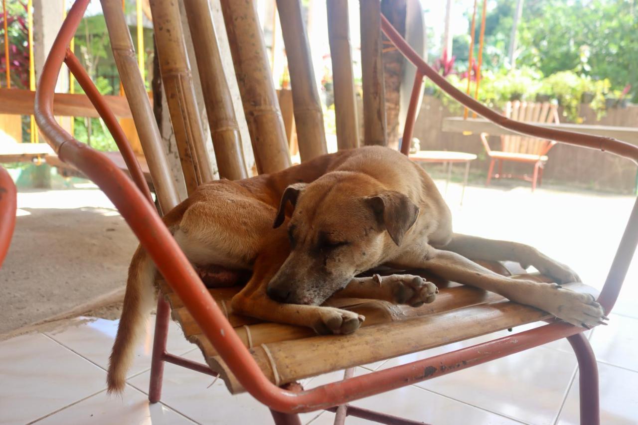 Hostel Bohol Hammock *