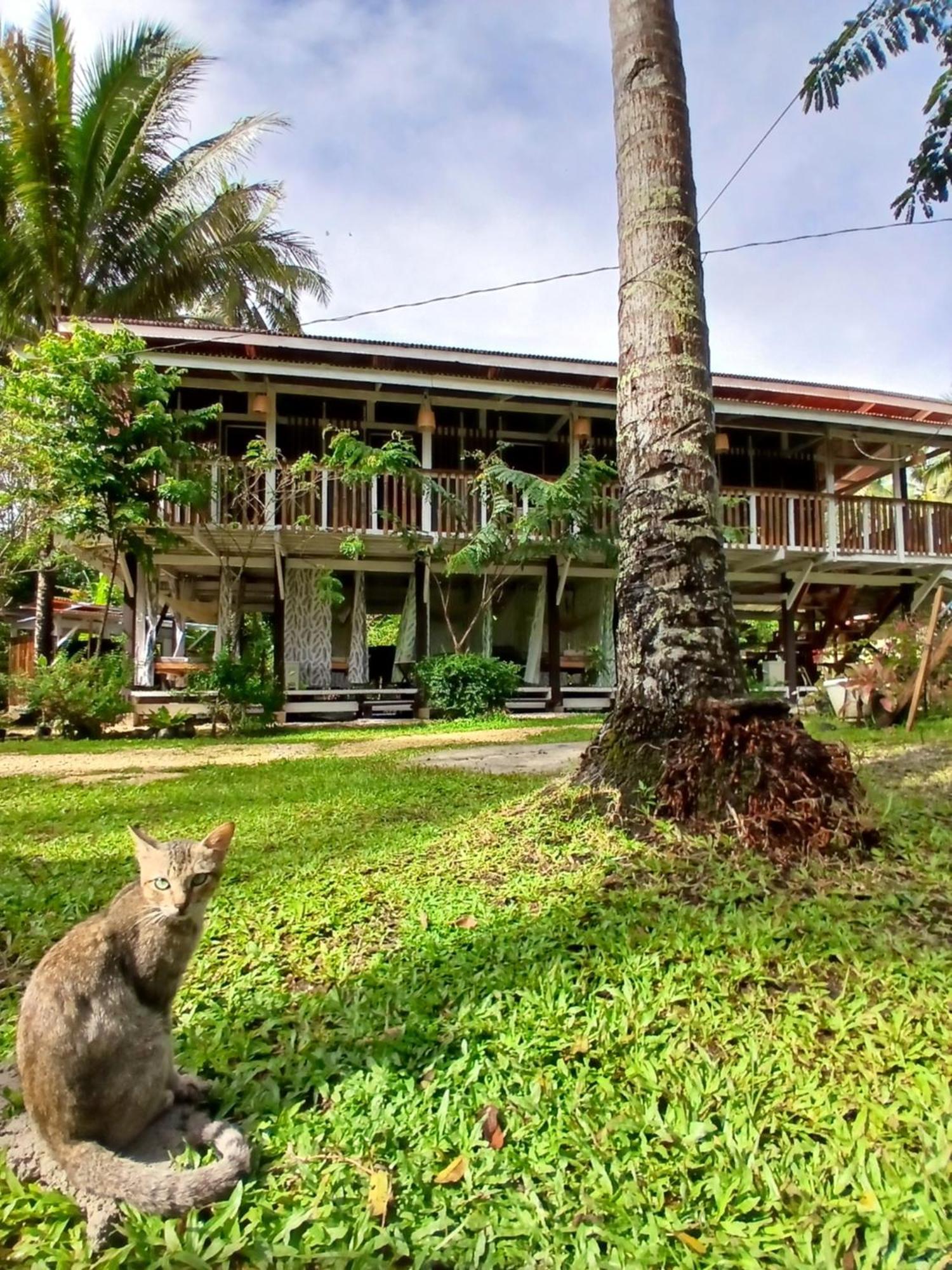 Hostel Bohol Hammock