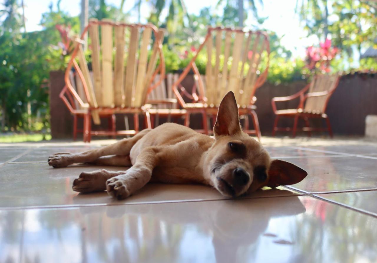 Bohol Hammock Batuan